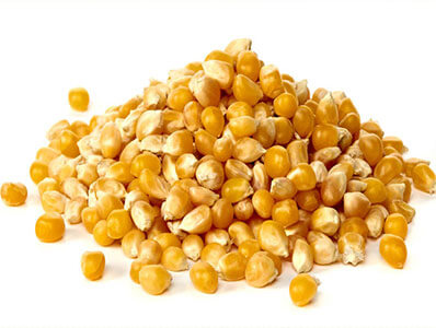 Yellow corn