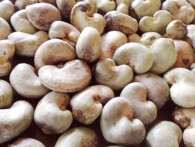 Raw Cashew